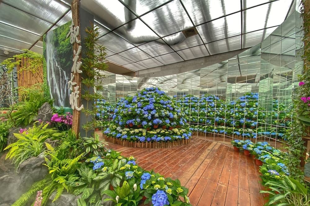 Photo of Outdoor in Zhuolan