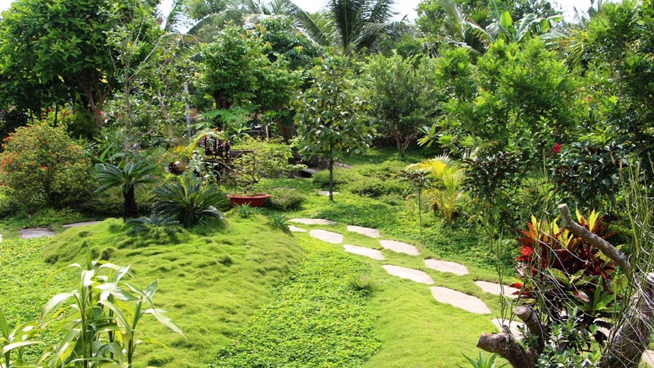 Photo of Outdoor in Cho Lach