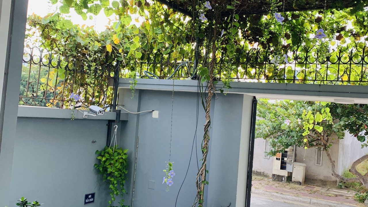 Photo of Outdoor in Vung Tau