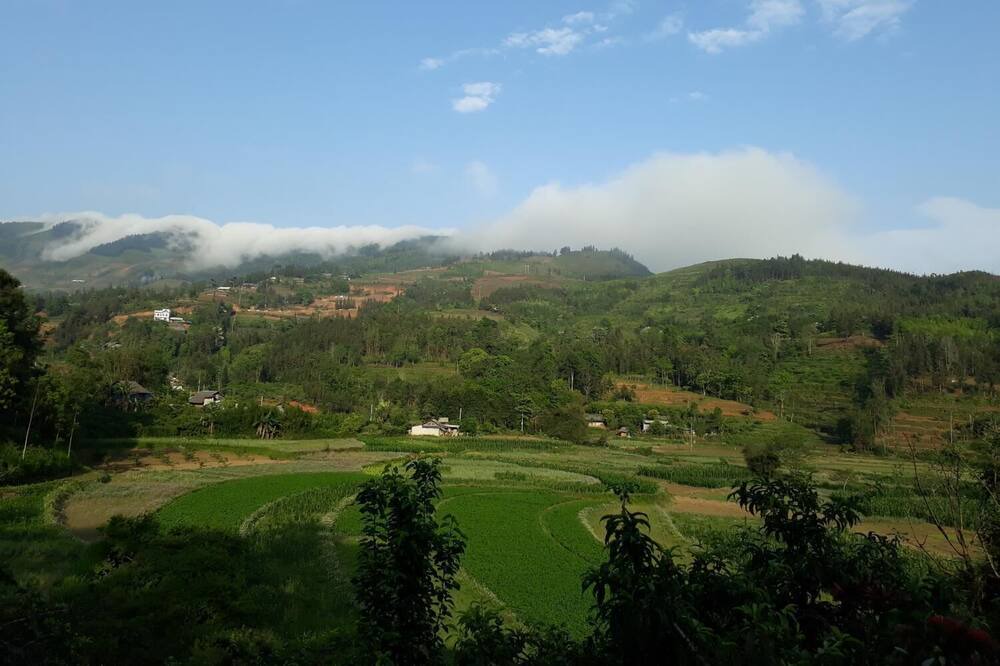 Photo of Others in Bac Ha