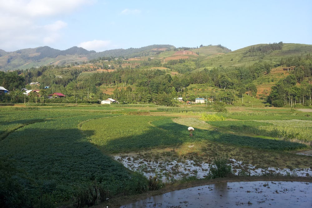 Photo of Others in Bac Ha