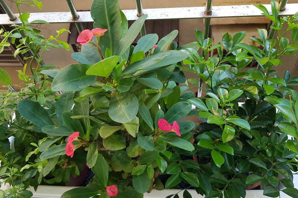Photo of Outdoor in Xiaogang