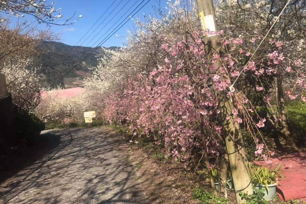 Photo of Others in Shuili