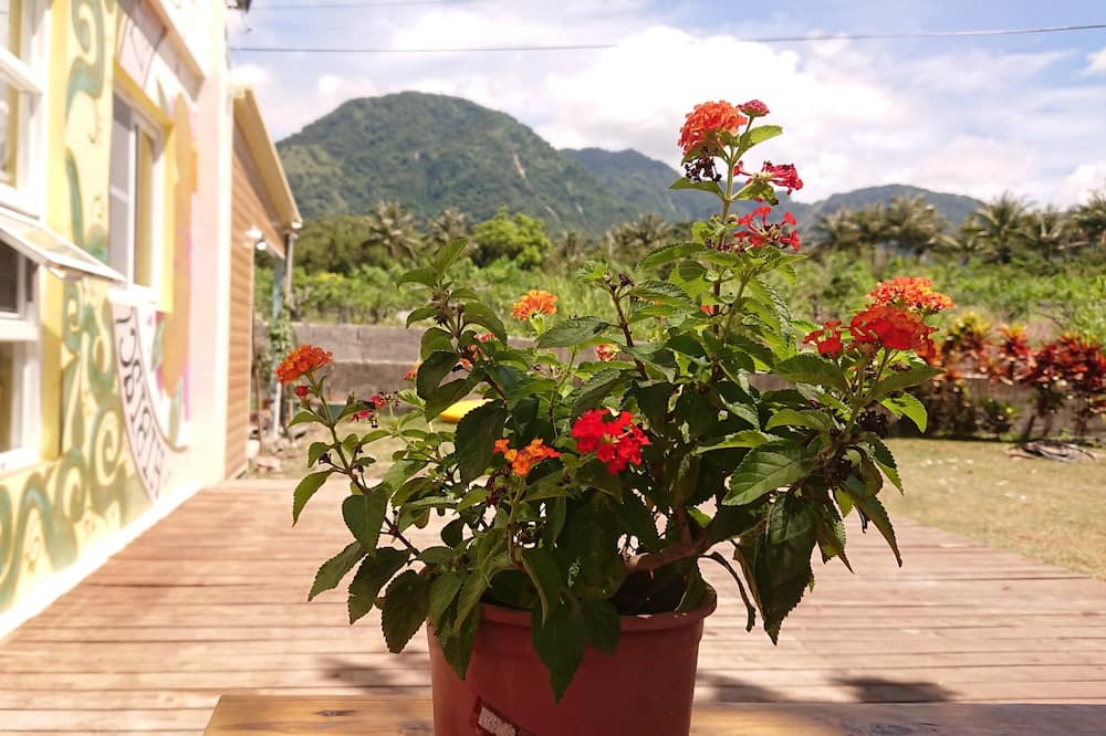 Photo of Patio Balcony in Donghe