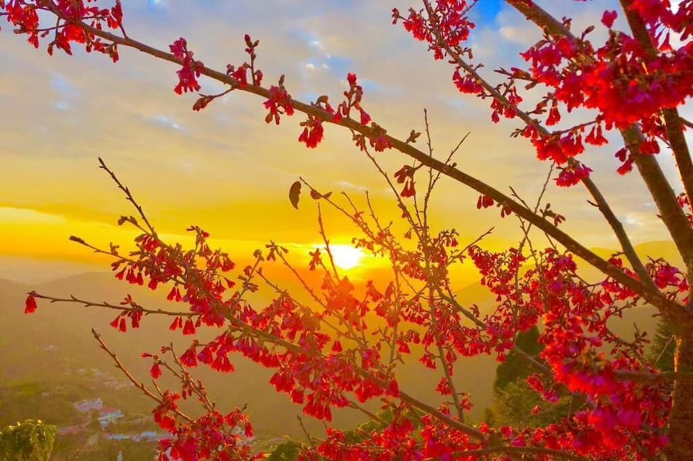 Photo of Outdoor in Ren'ai