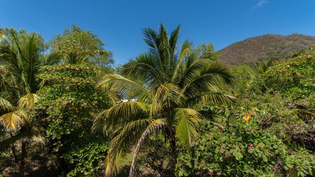 Photo of Outdoor in Yelapa