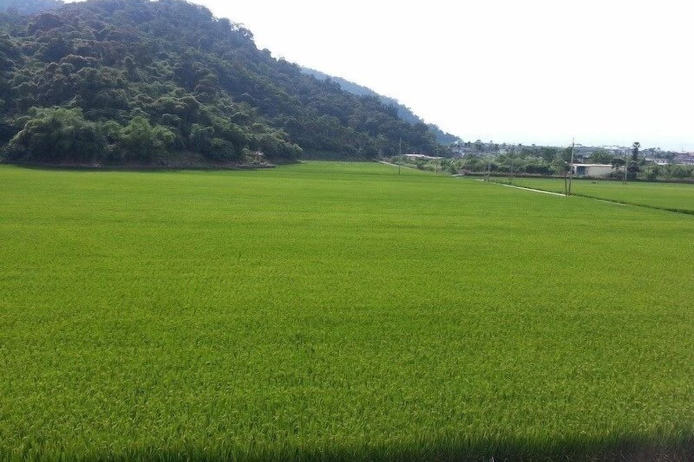 Photo of Outdoor in Dongshan