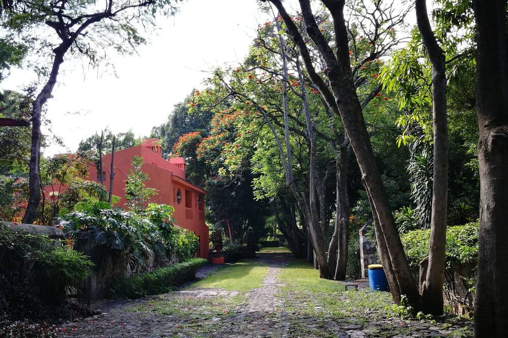 Photo of Others in Yautepec