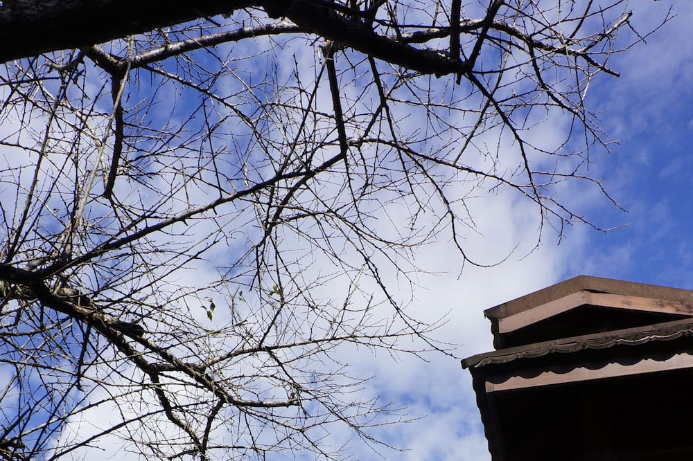 Photo of Outdoor in Lugu
