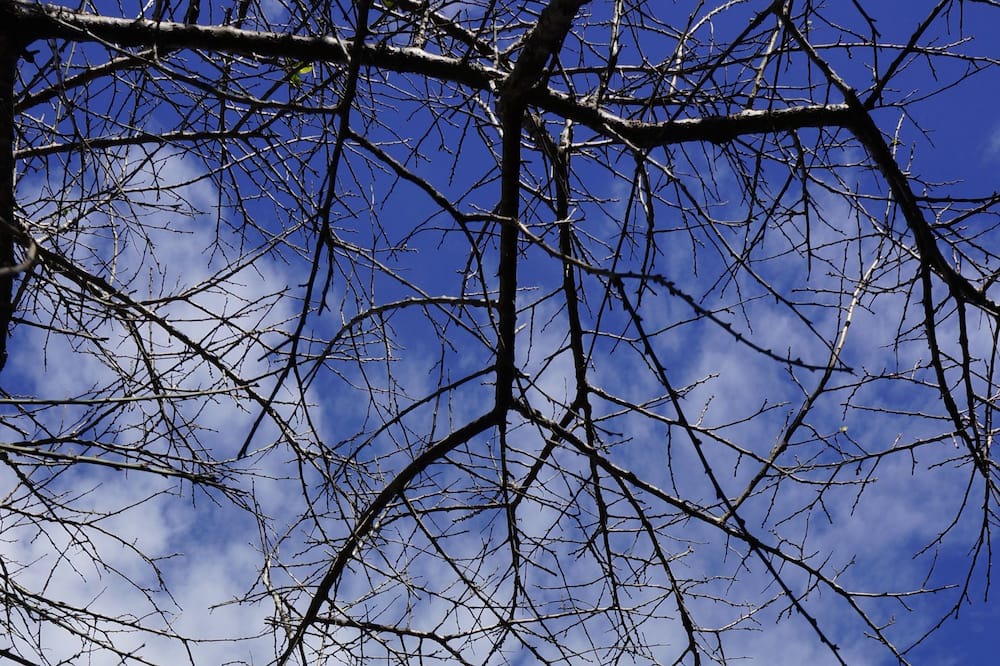Photo of Outdoor in Lugu