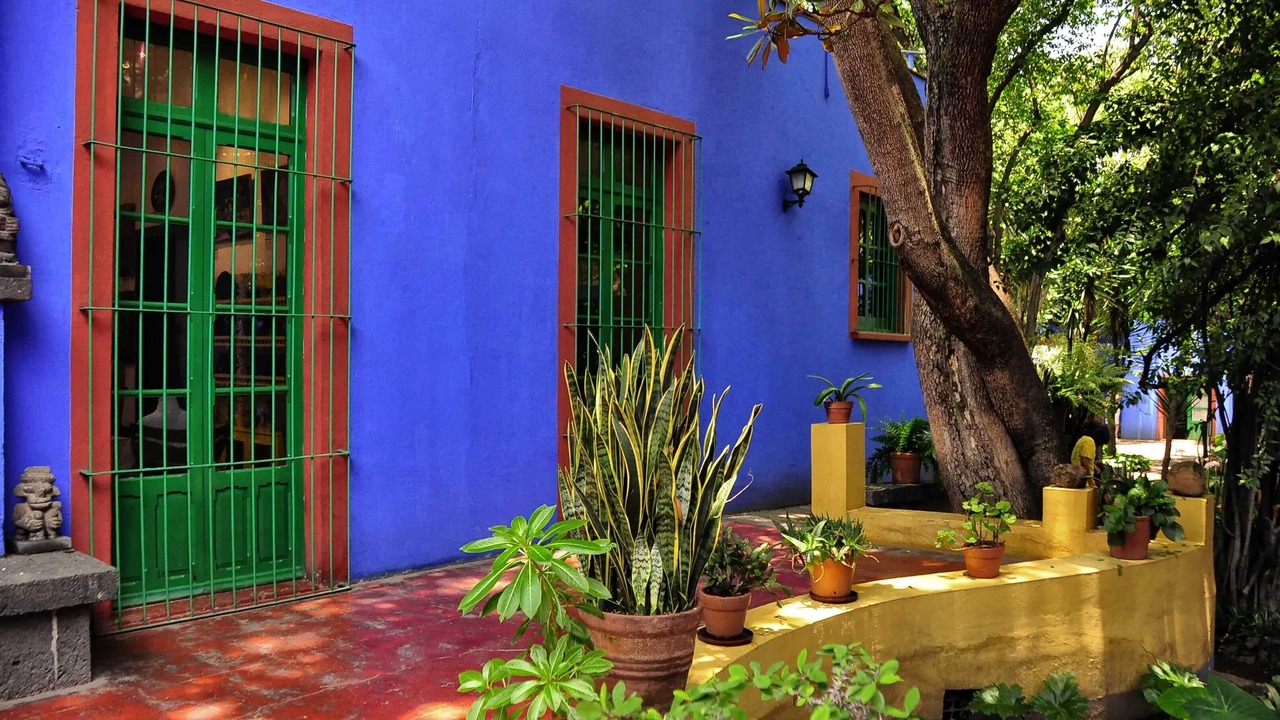 Photo of Outdoor in Coyoacan