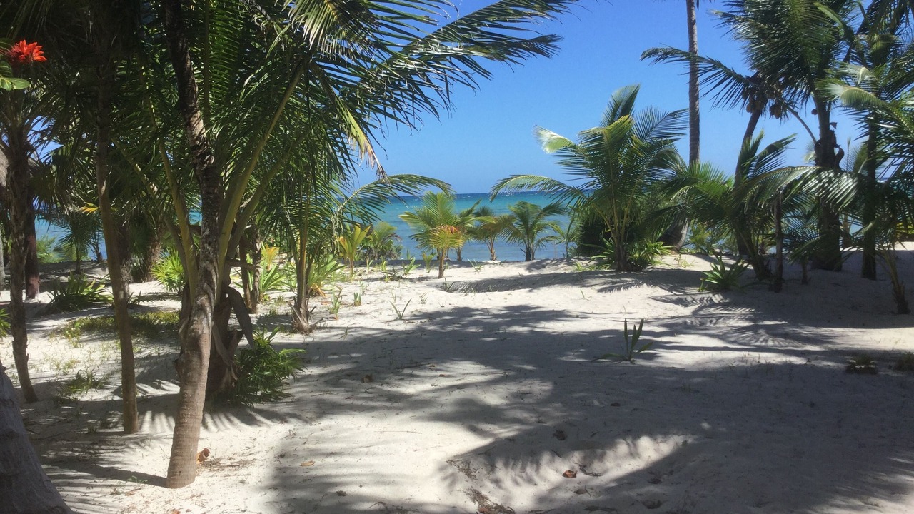 Photo of Others in Soliman Bay
