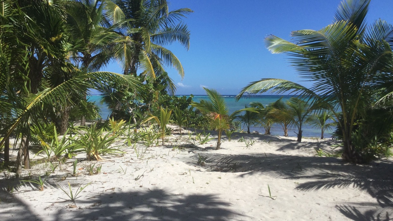 Photo of Others in Soliman Bay