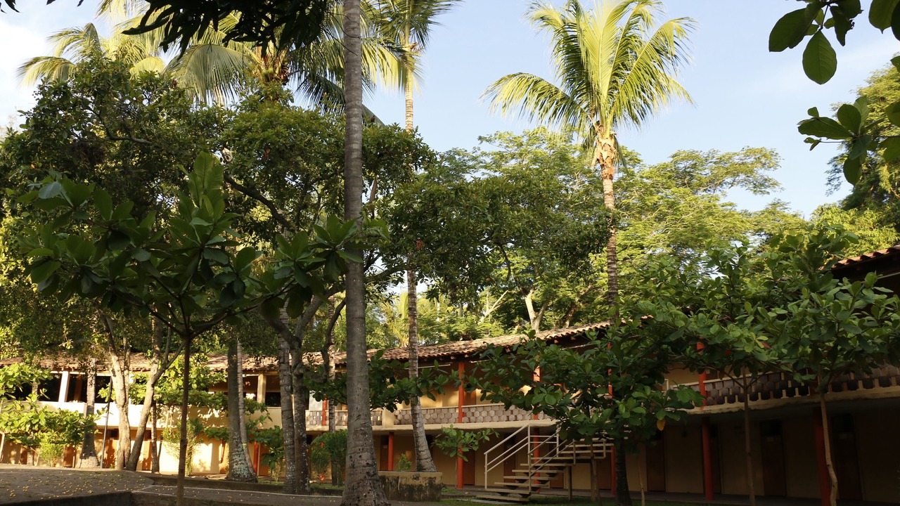 Photo of Outdoor in Apazapan