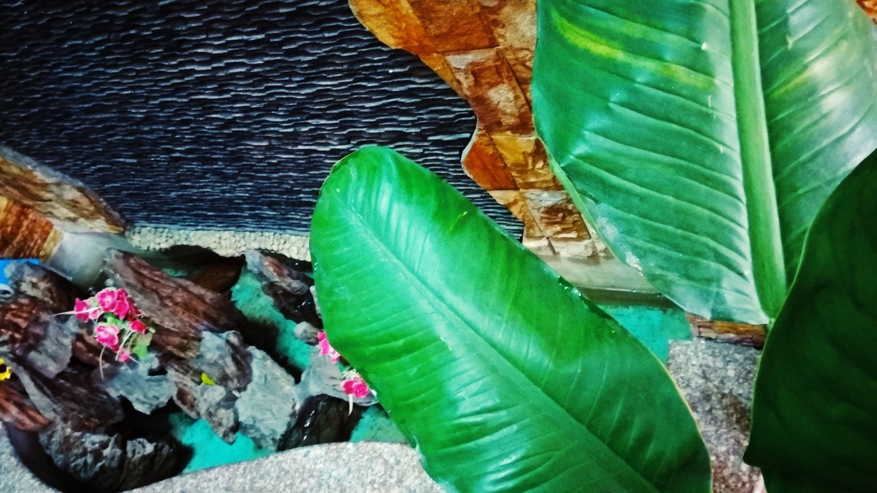 Photo of Others in Hai Chau