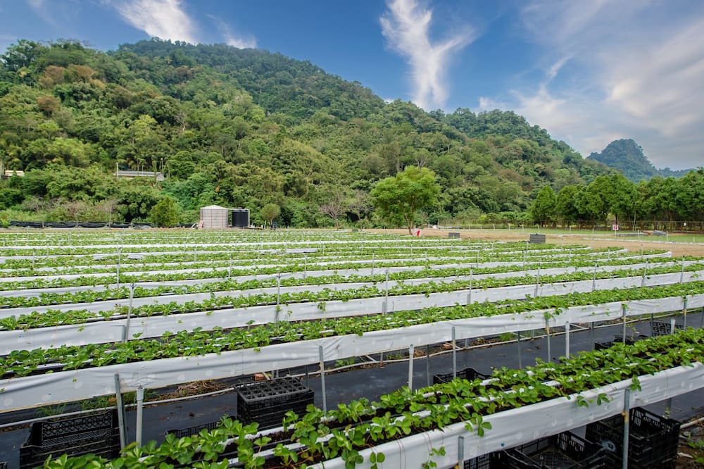 Photo of Outdoor in Dahu