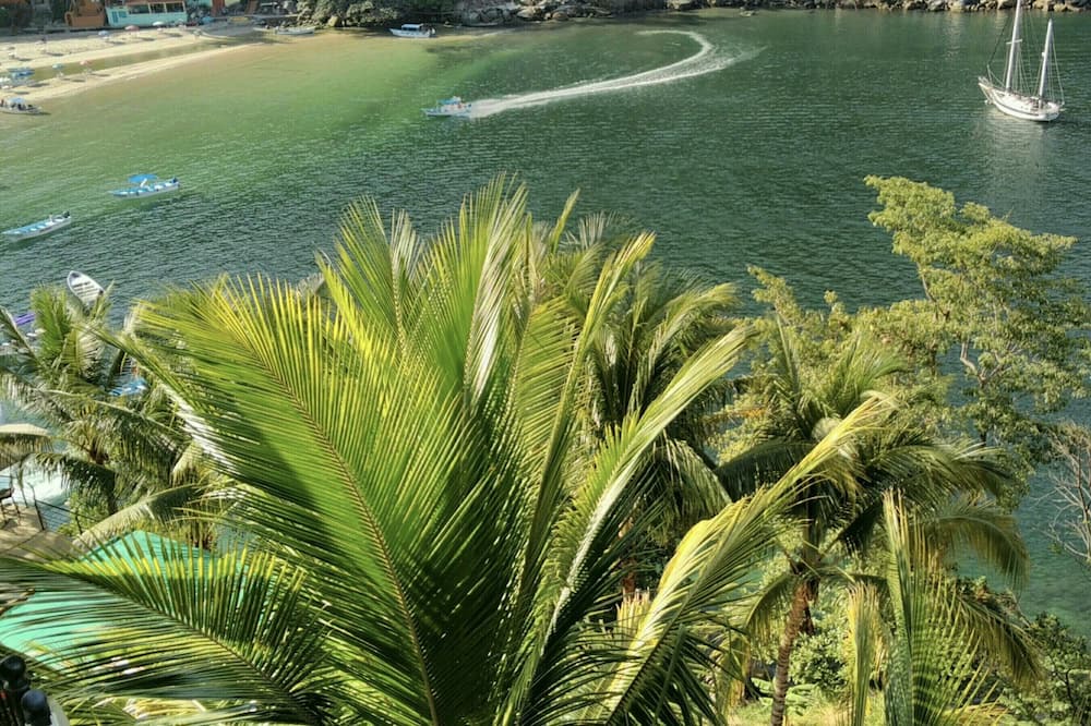 Photo of Outdoor in Boca de Tomatlan