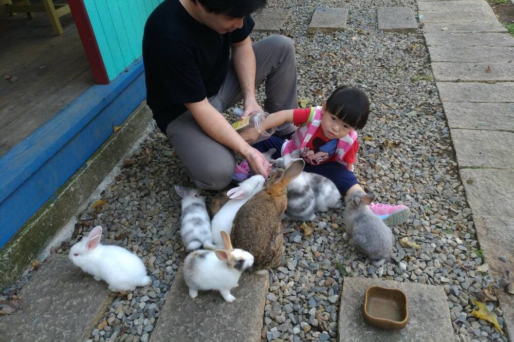 Photo of Outdoor in Xinshe