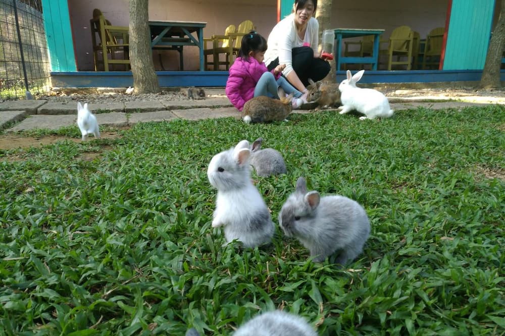 Photo of Outdoor in Xinshe