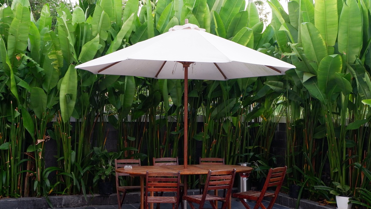 Photo of Outdoor in Cam Thanh