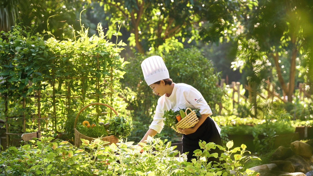 Photo of Outdoor in Nha Trang