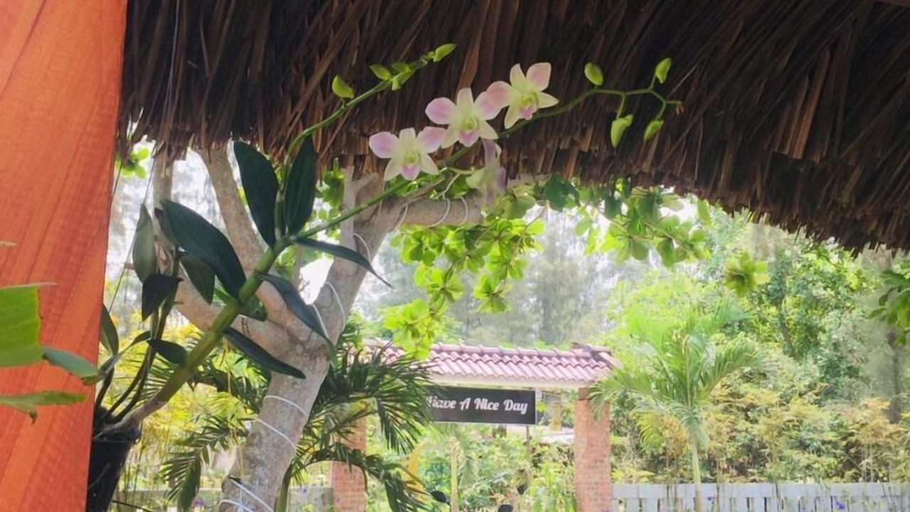 Photo of Outdoor in Dien Duong