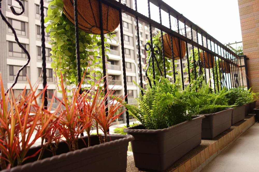 Photo of Outdoor in Dayuan District