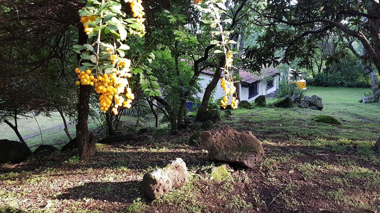 Photo of Outdoor in Tepoztlan