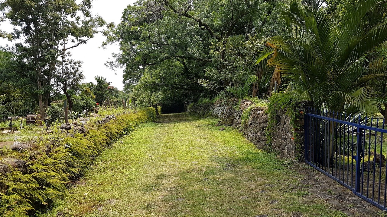 Photo of Outdoor in Tepoztlan