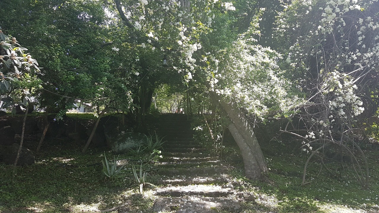 Photo of Outdoor in Tepoztlan