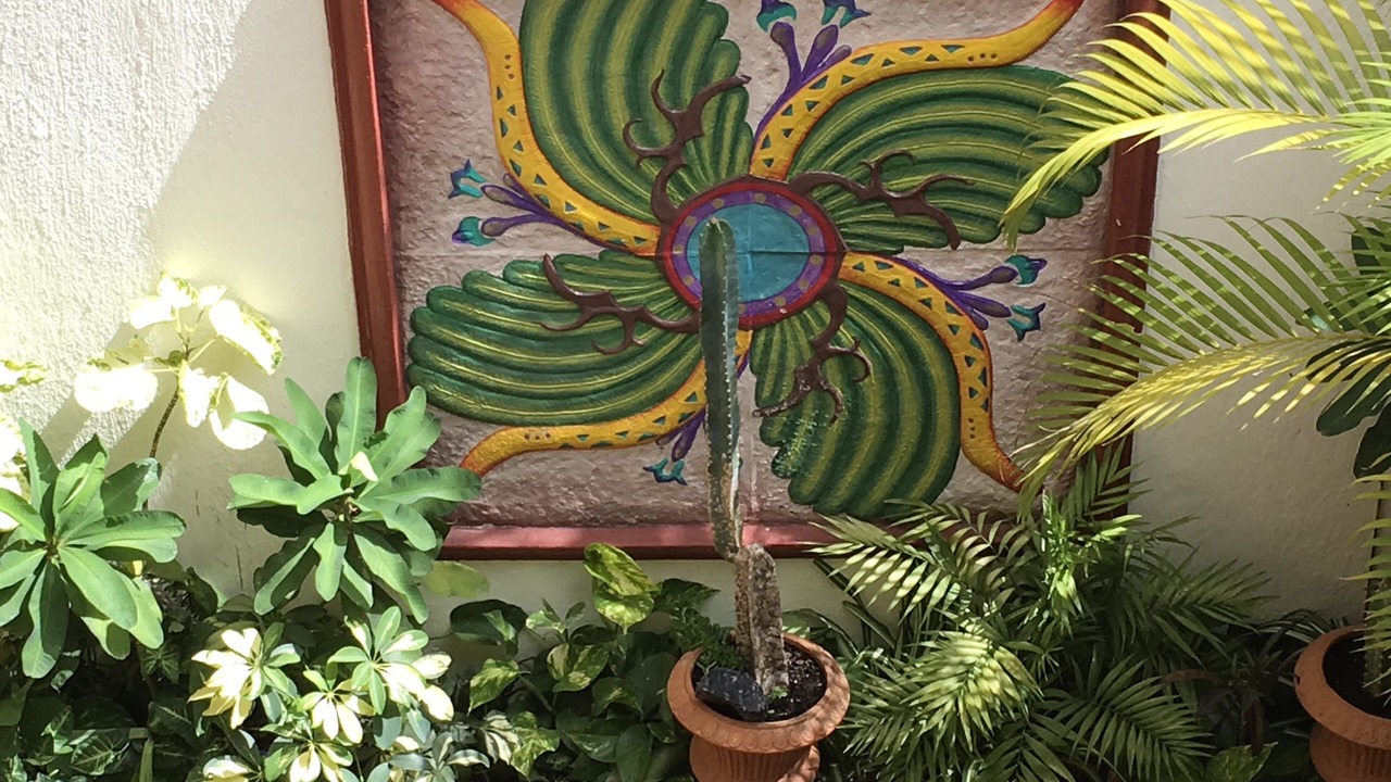 Photo of Outdoor in Ajijic