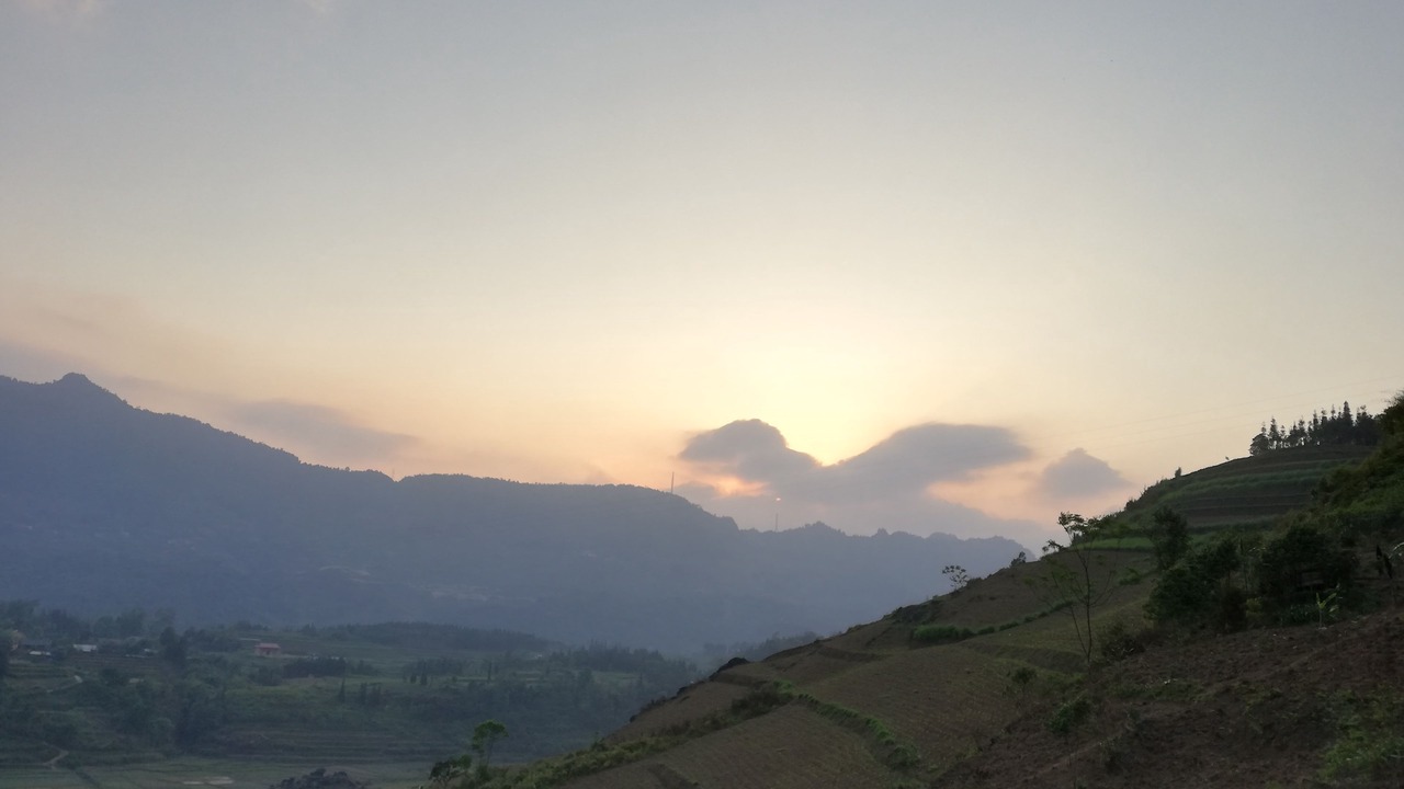 Photo of Others in Quan Ba