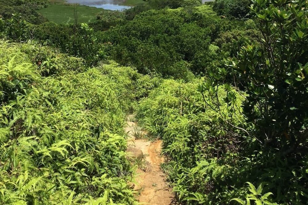 Photo of Outdoor in Manzhou