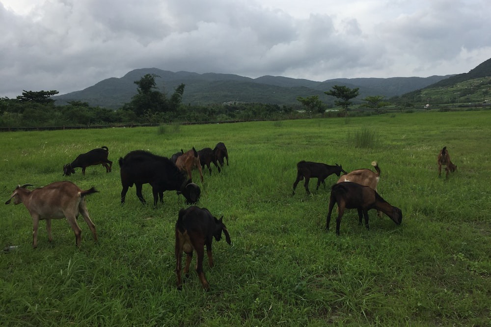 Photo of Outdoor in Manzhou