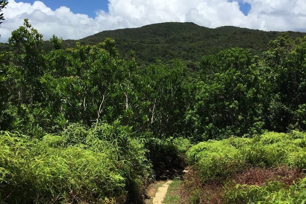 Photo of Outdoor in Manzhou