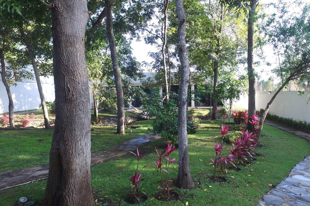 Photo of Outdoor in Amacueca
