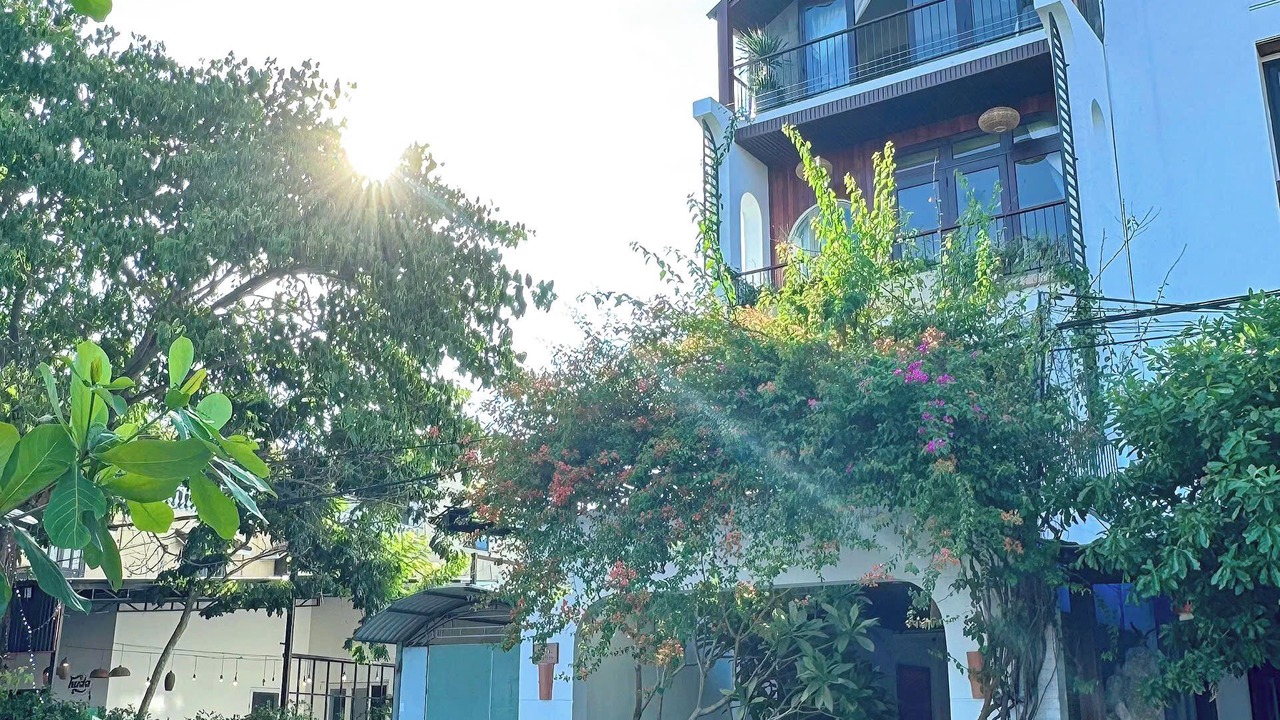 Photo of Outdoor in Thanh Ha