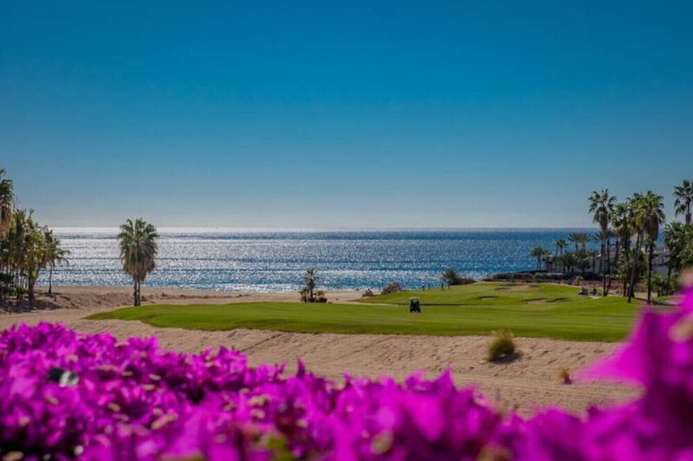 Photo of Others in San Jose del Cabo