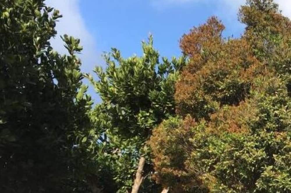 Photo of Outdoor in Manzhou