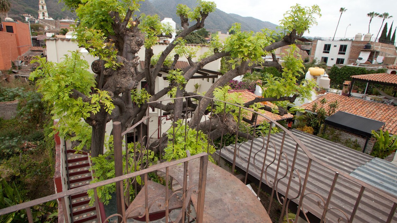 Photo of Others in Ajijic