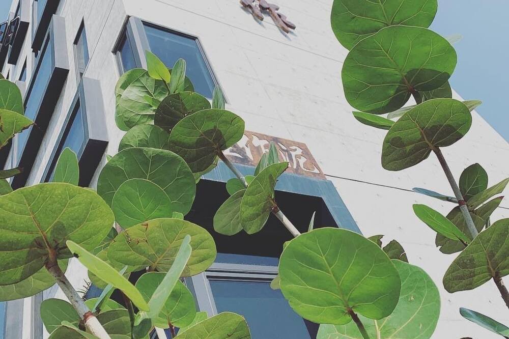 Photo of Outdoor in Xincheng