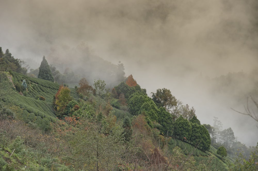 Photo of Outdoor in Wufeng