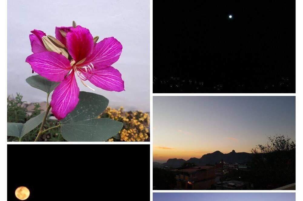 Photo of Others in Tepoztlan