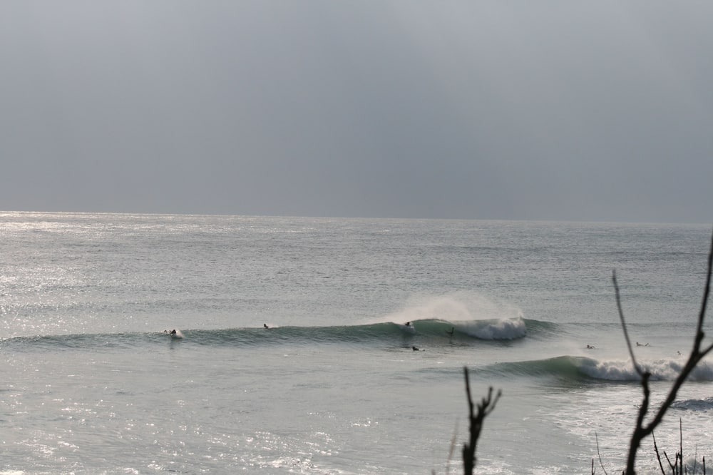 Photo of Others in Donghe