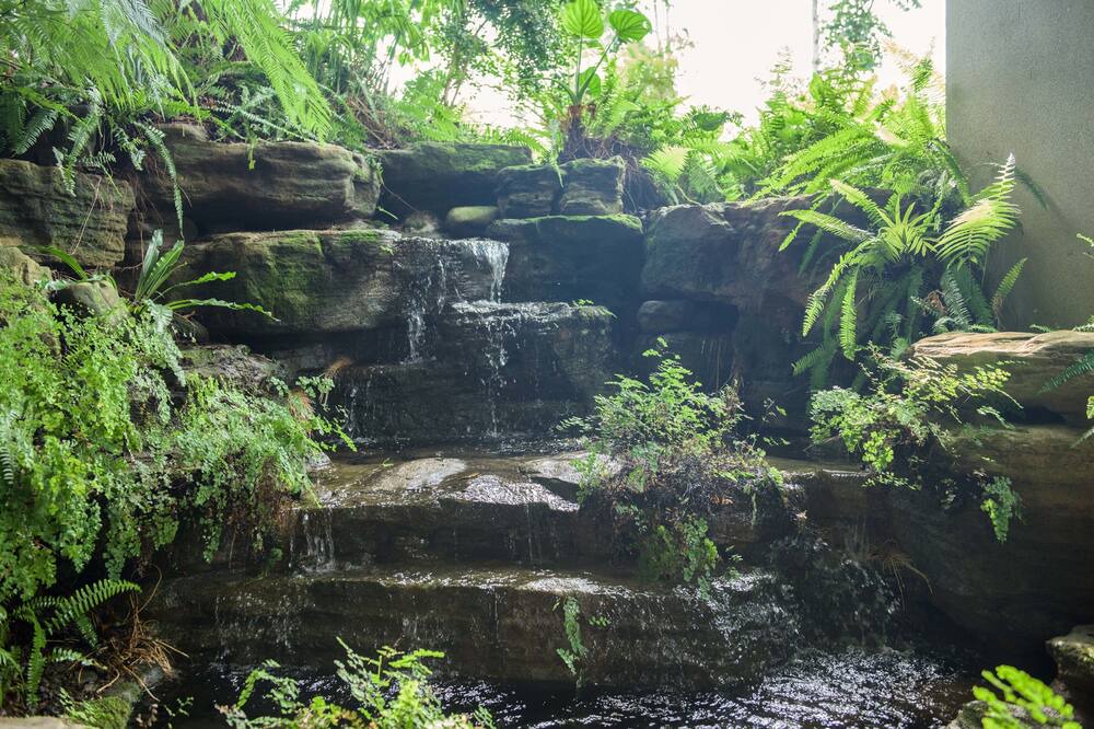Photo of Outdoor in East District