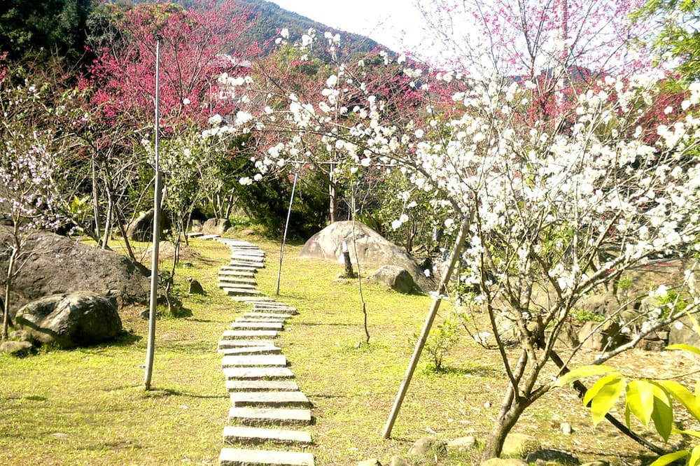 Photo of Outdoor in Xitou