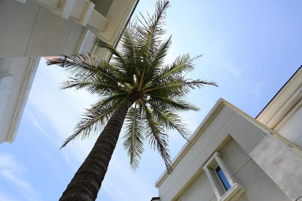 Photo of Outdoor in Xincheng