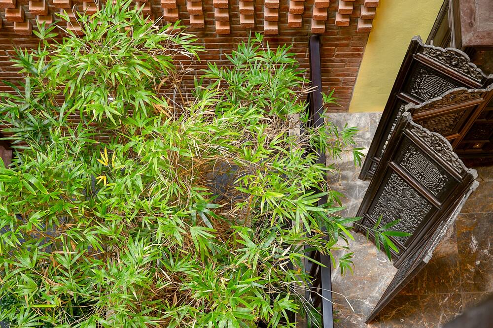 Photo of Outdoor in Hoi An