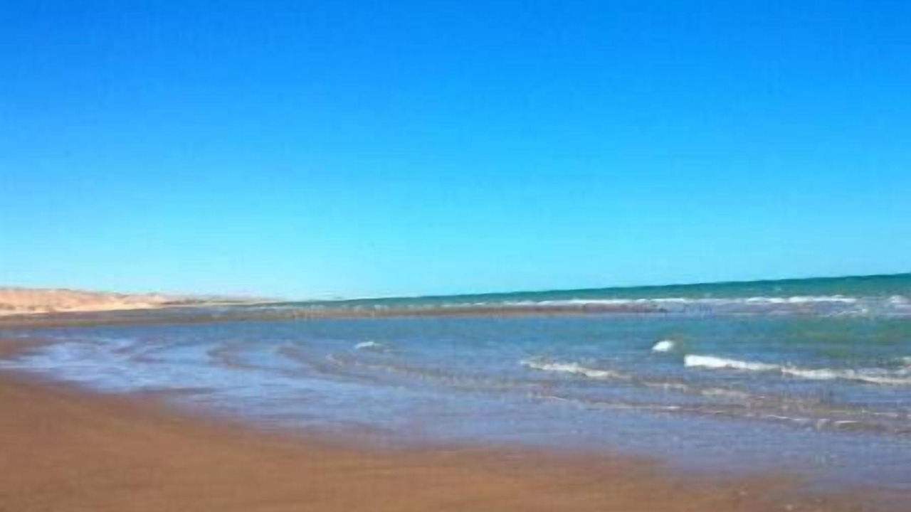 Photo of Others in Golfo de Santa Clara
