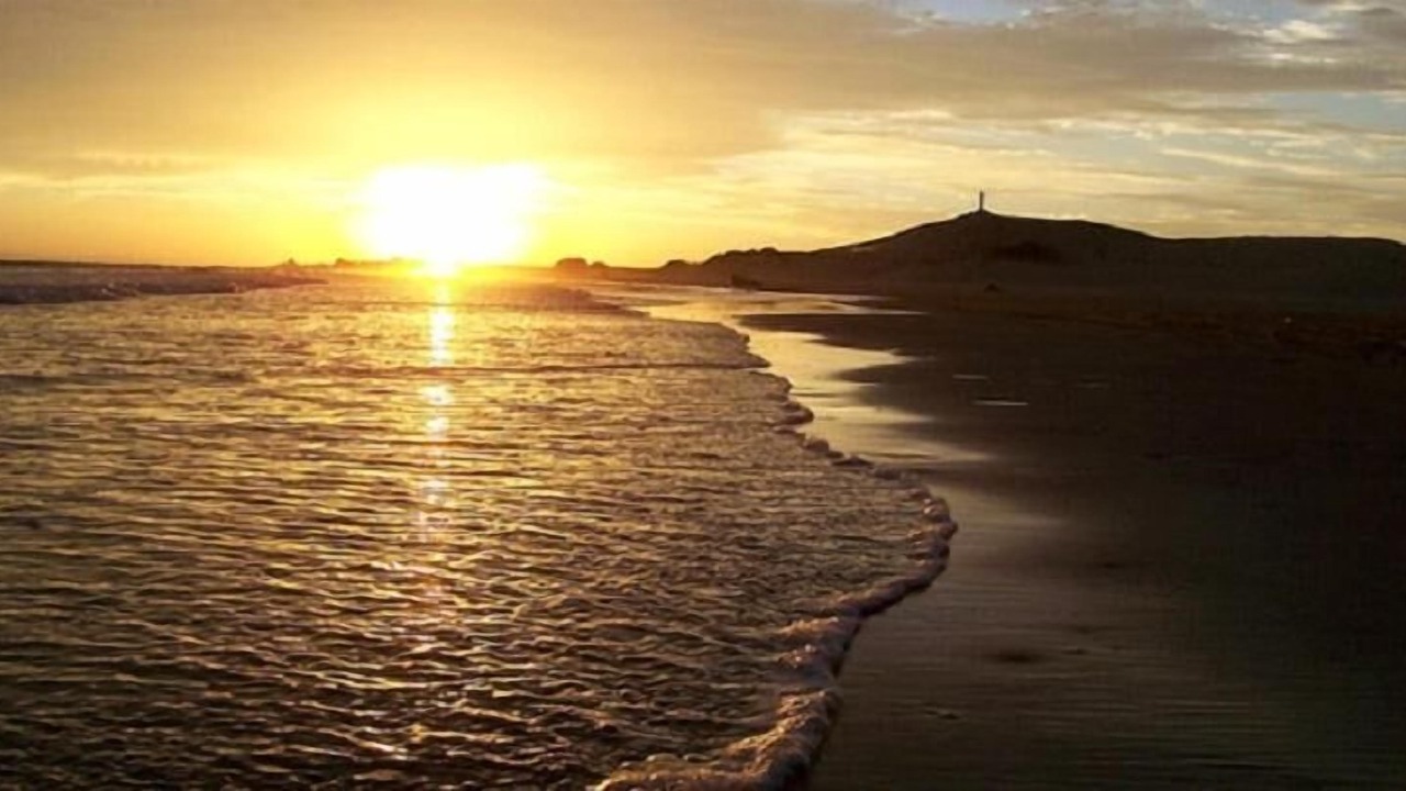 Photo of Others in Golfo de Santa Clara